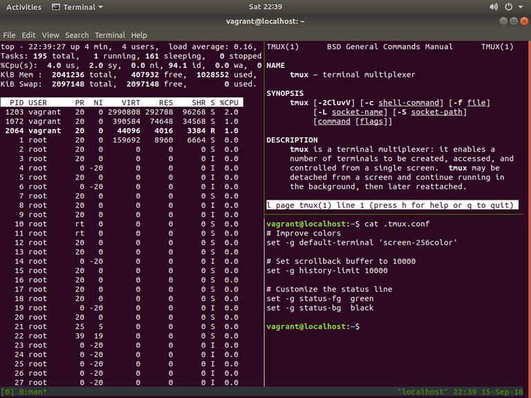 Tmux session with the status line showing the session name and window list at the bottom of the terminal