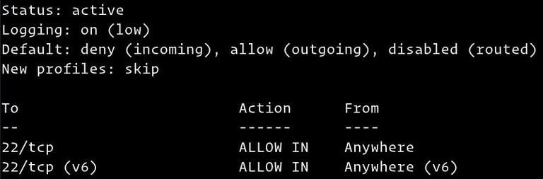 Debian ufw status