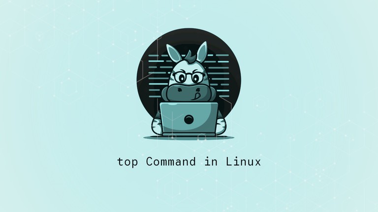 Using the Linux top command to monitor processes and resource usage